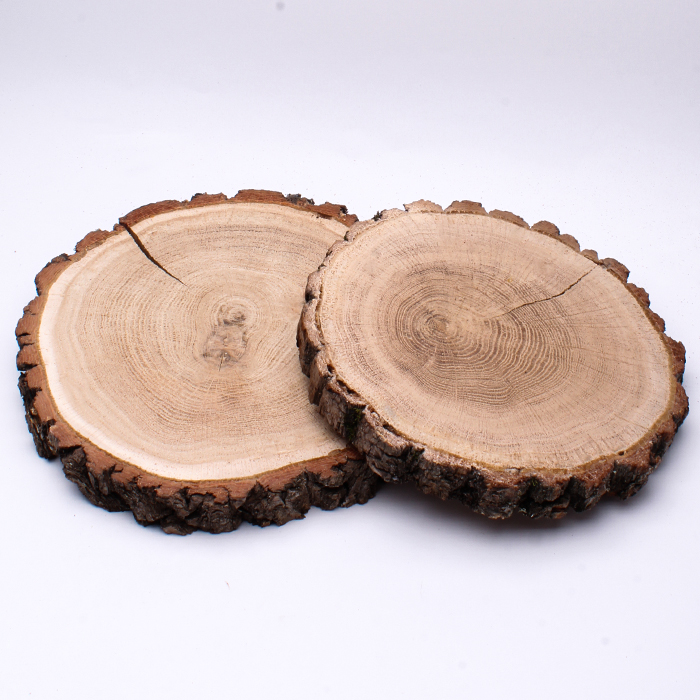 Plastry drewna, krążki drewniane 15-20 cm, h 2-3 cm