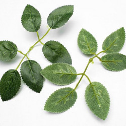 Sztuczne Liście Róży Zielonej 